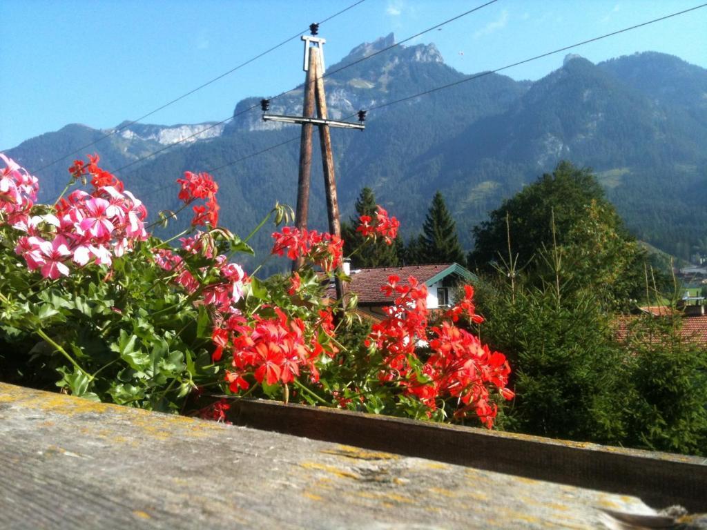 Pension Larchenhof Maurach  Habitación foto